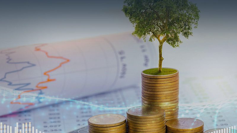 企业并购流程：揭秘每一步的关键环节